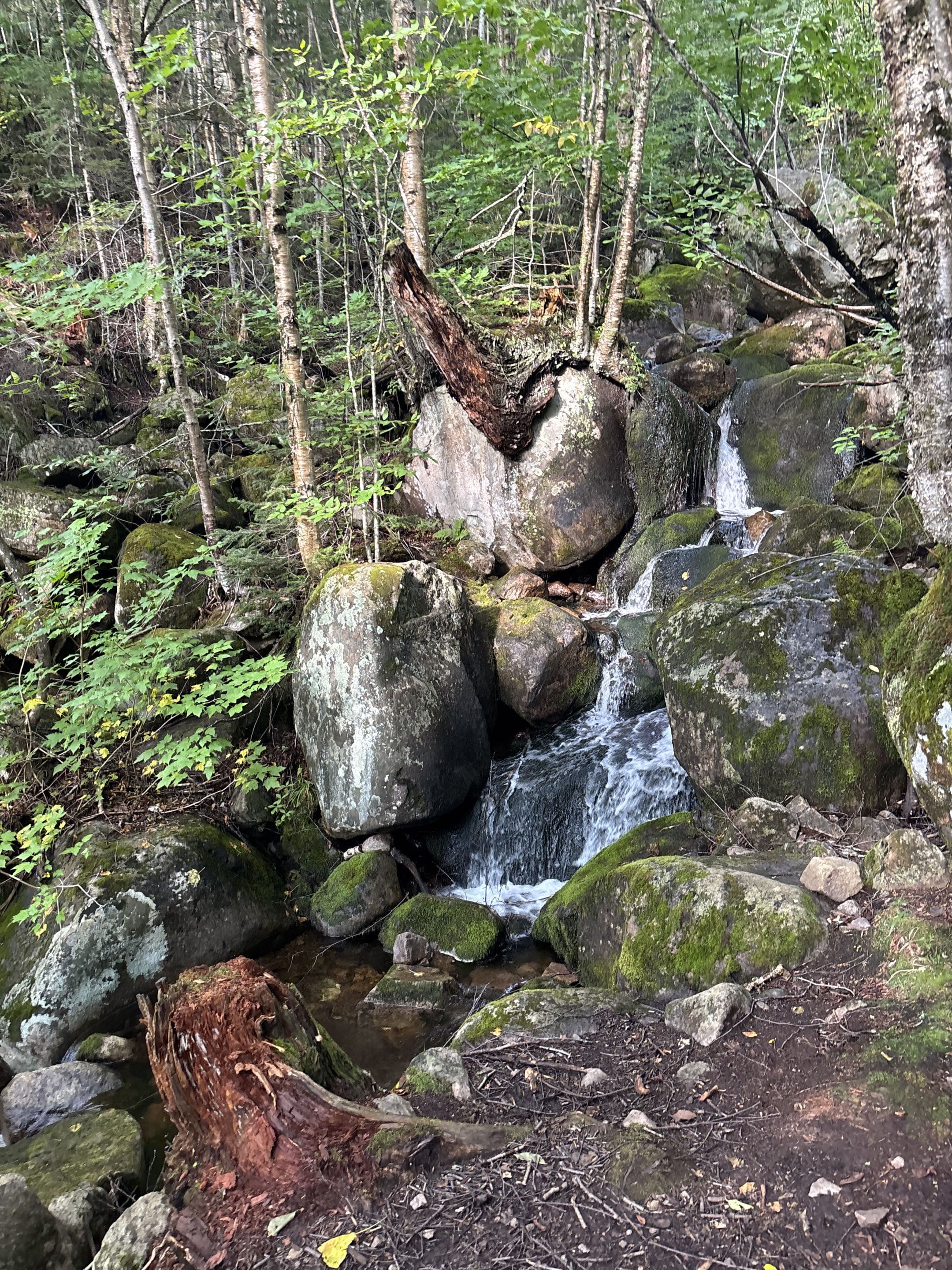 Gallery image 33